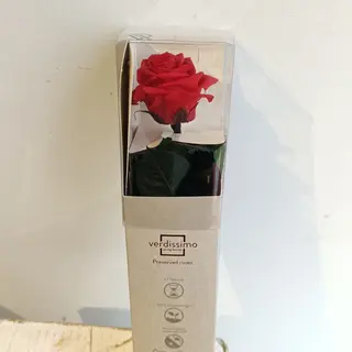 Rosa preservada tallo corto ROJO