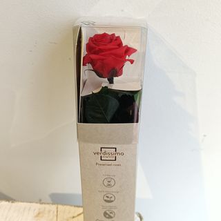Rosa preservada tallo corto ROJO