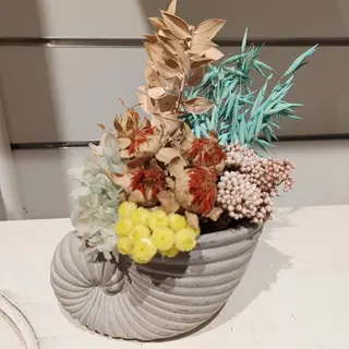 Composición "caracola"