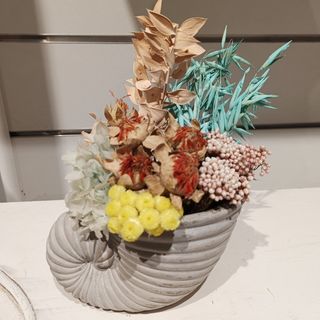 Composición "caracola"