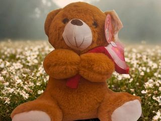 Oso Marrón Peluche eNamorado 28 ctms