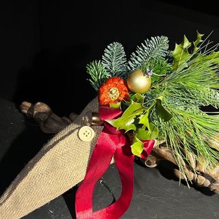 Cono de la abundancia