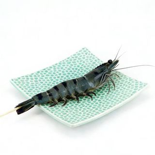 Langostino Tigre