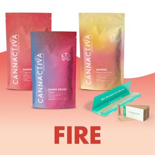 Pack FUEGO · Flores CBD Dulces y Tropicales 6Gr.