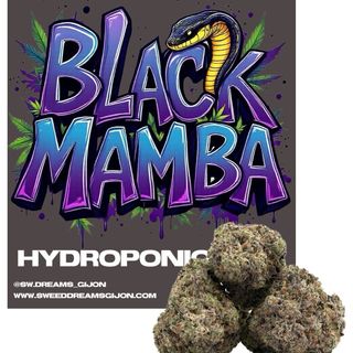 Black Mamba hydro 1G
