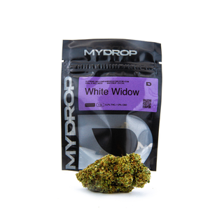 Withe Widow 1G