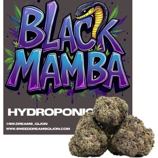 Black Mamba 5G