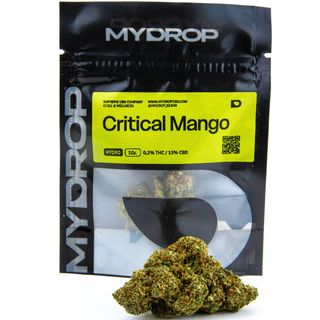 Critical Mango 5G