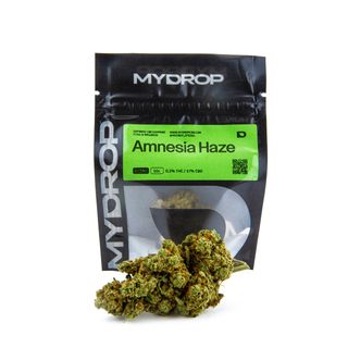 Amnesia Haze Hidroponica 1G