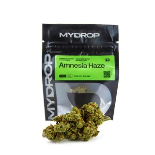 Amnesia Haze Hidroponica 5G