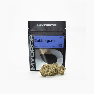 Bubblegum Hidropónica 1G