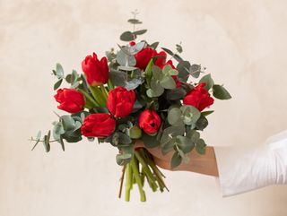 Ramo de tulipanes rojos y eucalipto especial San Valentín