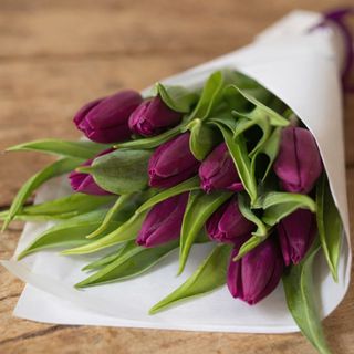 Ramo de tulipanes violetas 16 tallos, especial día de la mujer