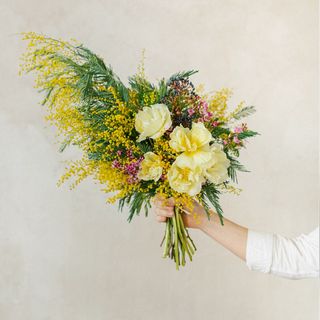 Ramo de flores de mimosa y tulipanes blancos, especial día de la mujer - S