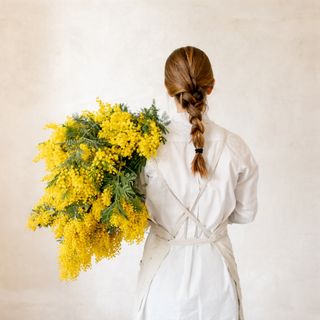 Ramo de flores de mimosa L, especial día de la mujer