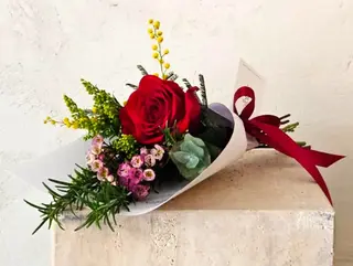 Rosa Roja de San Valentín
