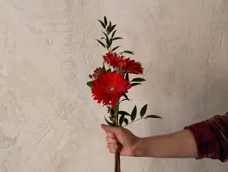 Ramo de gerberas