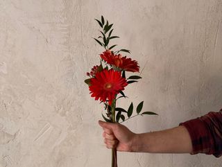 Ramo de gerberas