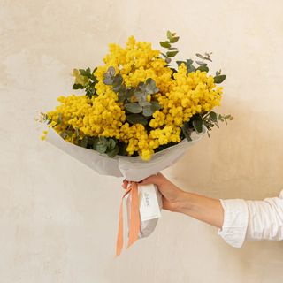 Ramo de flores de mimosa y eucalipto, especial día de la mujer