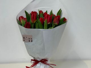 21 Tulip Red