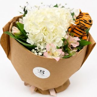 Pequeño Tigre