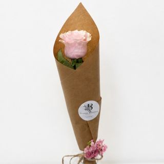 Pink Rosa Amor