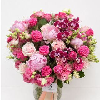 Peony Spring