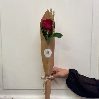 Rosa Cono