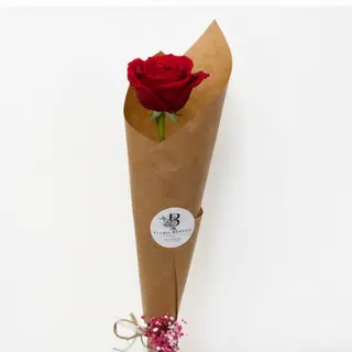 Red Rosa Amor