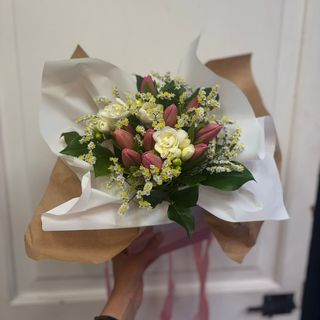 Tulip spring