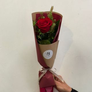 Rosa Drac