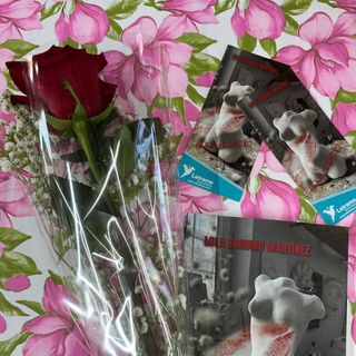 OFERTA! Rosa Roja + la obra literaria “Hola, Pínoxo”