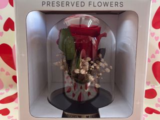 Cúpula Rosa Roja Eterna