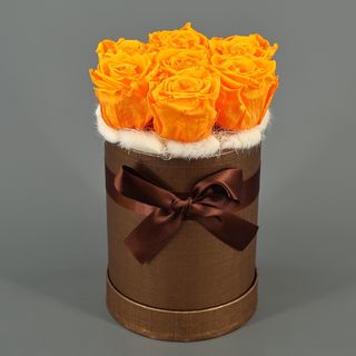 Cajita 6 rosas naranjas preservadas