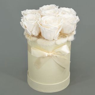 Cajita 6 rosas blancas preservadas