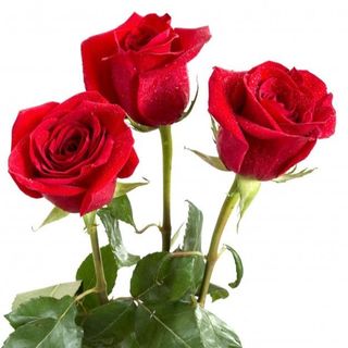 Tres Rosas Rojas DECORADAS