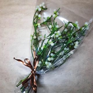 MUÉRDAGO DE LA SUERTE