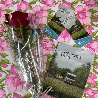 OFERTA! Rosa Roja + la obra literaria “Corazones Vivos”