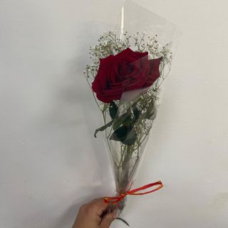 Rosa roja de amor