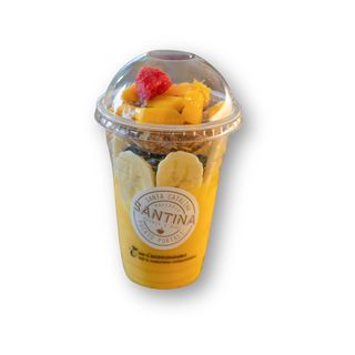 MANGO BOWL (vegano)