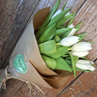 Ramo 10 tulipanes Blancos