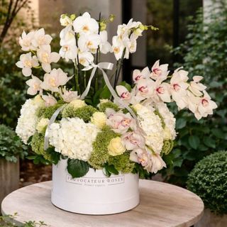 Fantasía de Orquídeas