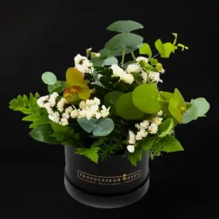 Mojito cocktail box