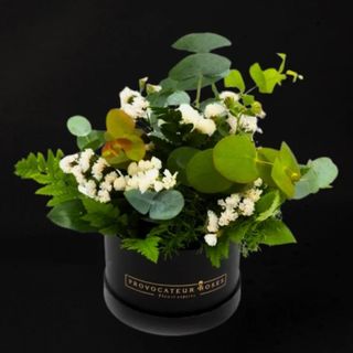Mojito cocktail box