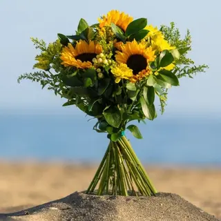 Brillo de sol