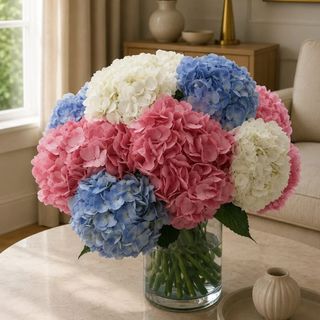 Bloom fantasy