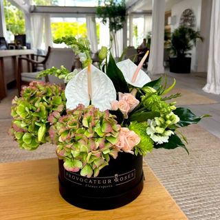 Tropical box