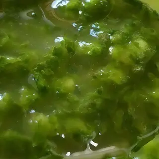 Mojo Verde