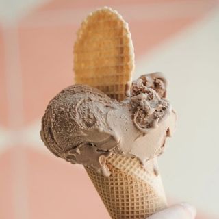 Choco Plant B (Chocolate, leche de coco, naranja)