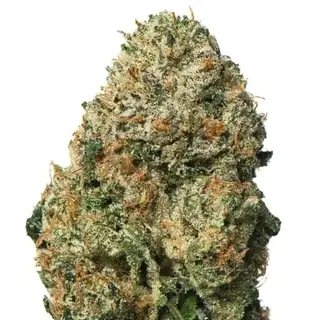 Runtz - 8,15% CBD Medium & Big Buds - Indoor, 1Gr